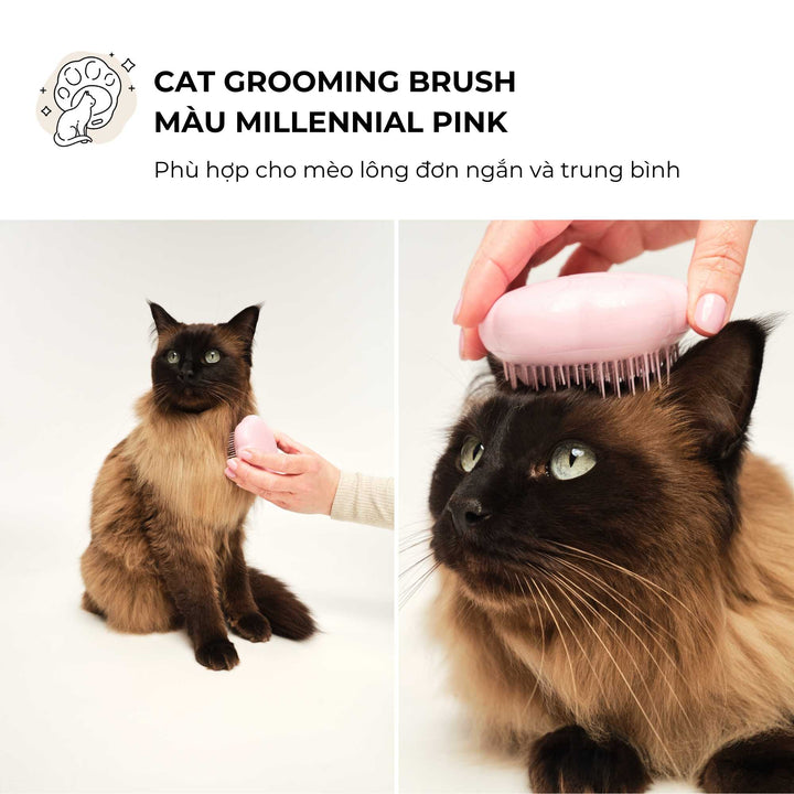 Lược gỡ rối Tangle Teezer cho mèo - Cat Teezer