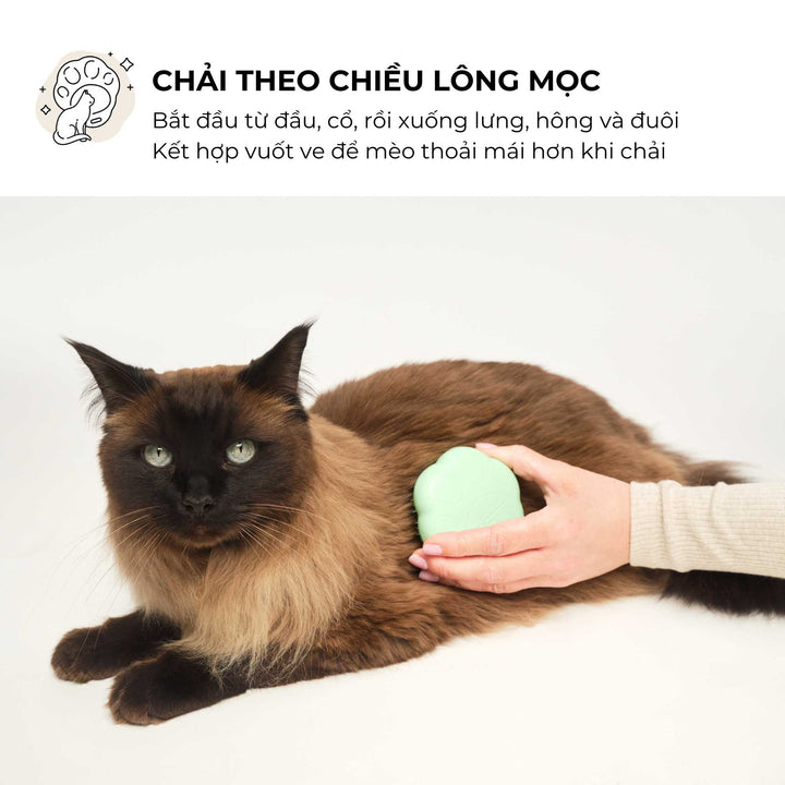 Lược gỡ rối Tangle Teezer cho mèo - Cat Teezer