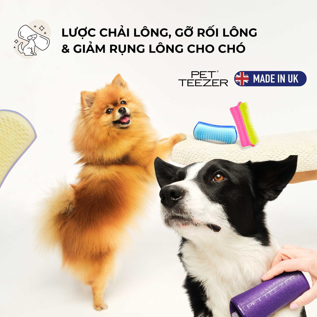 Lược gỡ rối lông Tangle Teezer cho chó - Pet Teezer