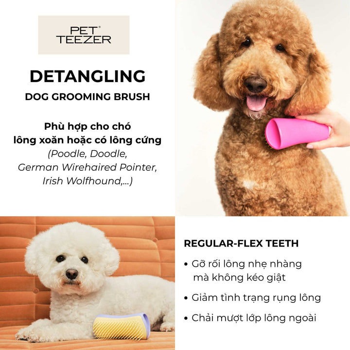 Lược gỡ rối lông Tangle Teezer cho chó - Pet Teezer