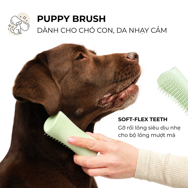 Lược gỡ rối lông Tangle Teezer cho chó - Pet Teezer