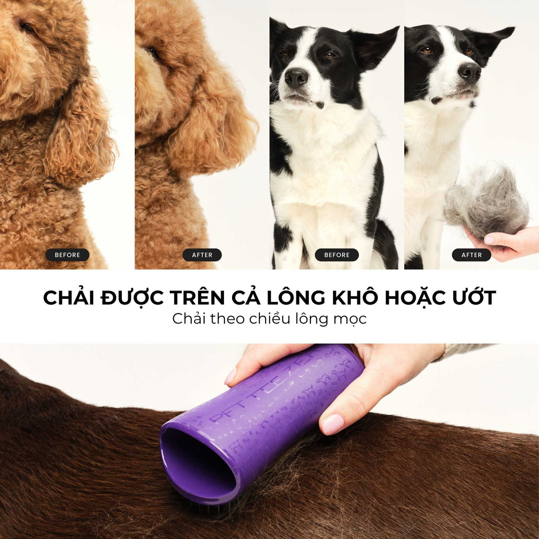 Lược gỡ rối lông Tangle Teezer cho chó - Pet Teezer