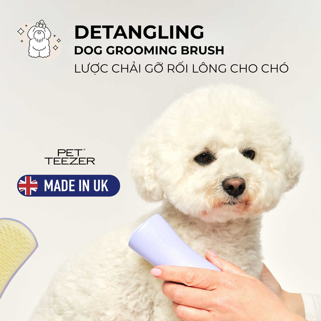 Lược gỡ rối Tangle Teezer cho chó Detangling, Gỡ rối nhanh gọn, nhẹ nhàng