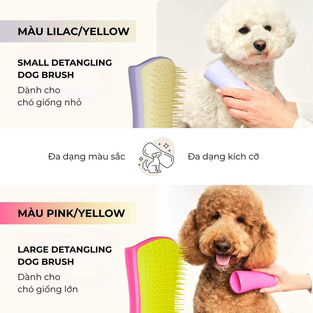 Lược gỡ rối Tangle Teezer cho chó Detangling, Gỡ rối nhanh gọn, nhẹ nhàng