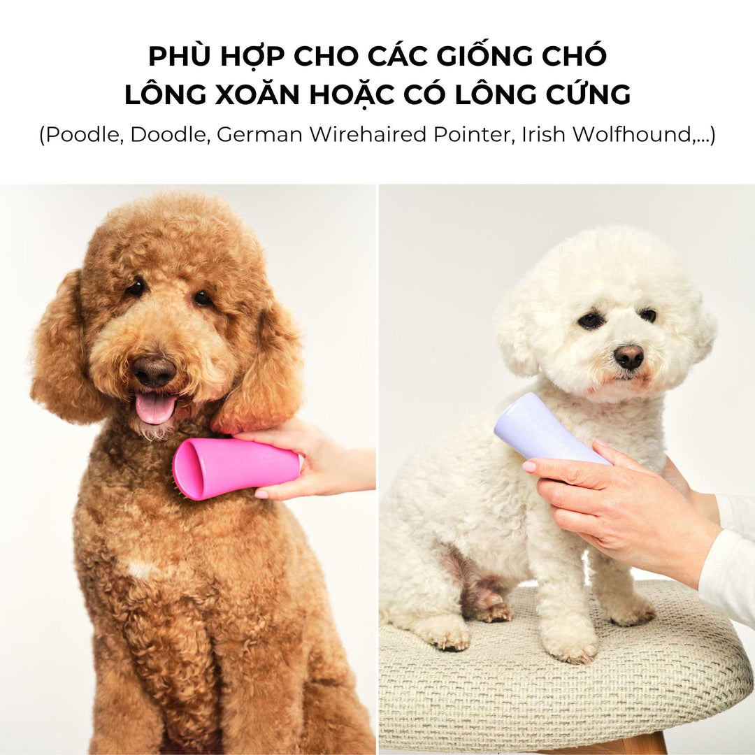 Lược gỡ rối Tangle Teezer cho chó Detangling, Gỡ rối nhanh gọn, nhẹ nhàng