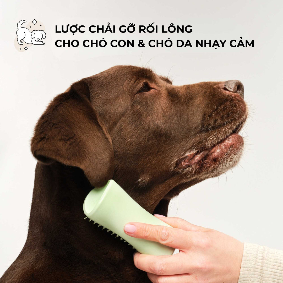 Lược gỡ rối Tangle Teezer Puppy Brush- Green, Chải lông nhẹ nhàng, êm ái