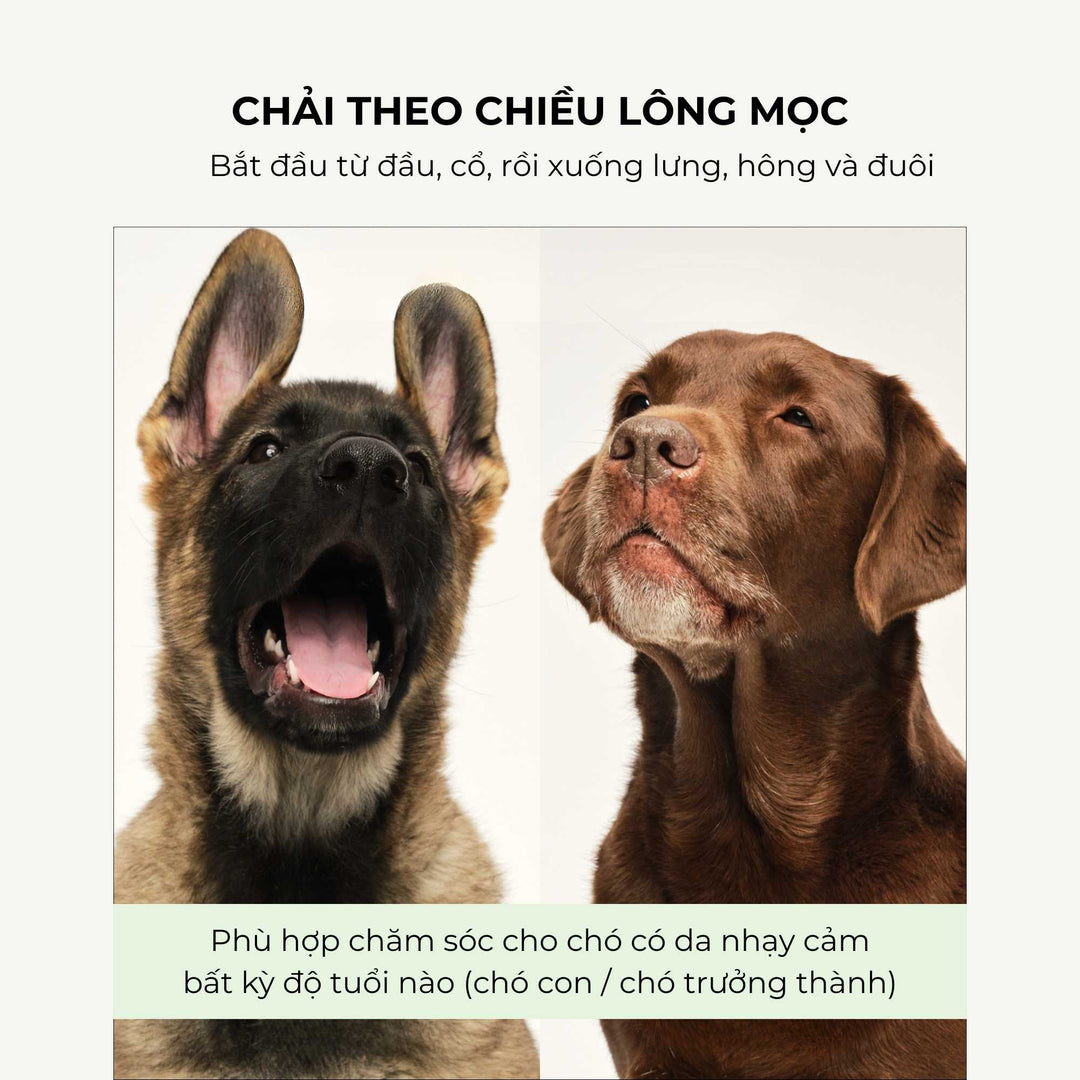 Lược gỡ rối Tangle Teezer Puppy Brush- Green, Chải lông nhẹ nhàng, êm ái