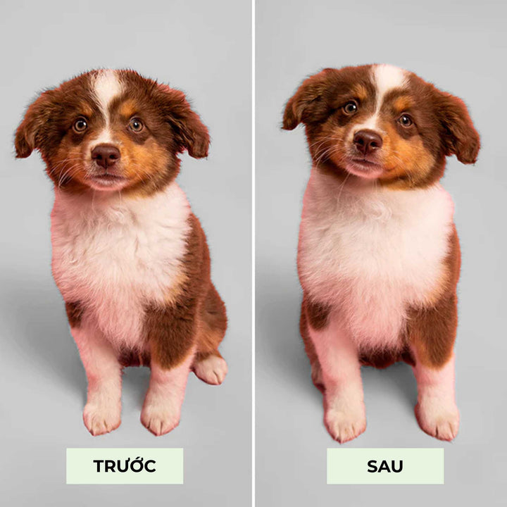 Lược gỡ rối Tangle Teezer Puppy Brush- Green, Chải lông nhẹ nhàng, êm ái