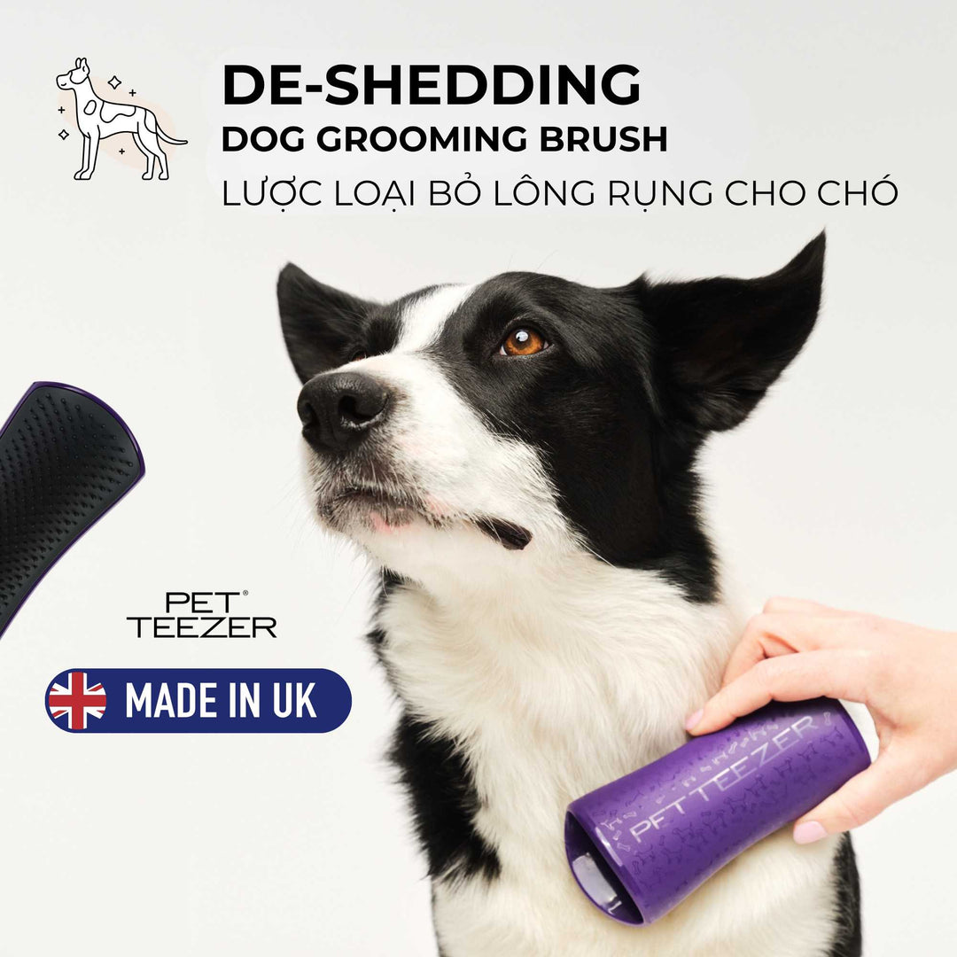 Lược gỡ rối Tangle Teezer cho chó De-shedding, giúp loại bỏ lông rụng và bụi bẩn