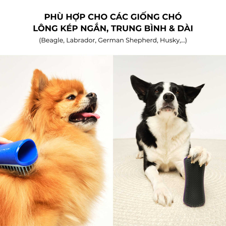 Lược gỡ rối Tangle Teezer cho chó De-shedding, giúp loại bỏ lông rụng và bụi bẩn