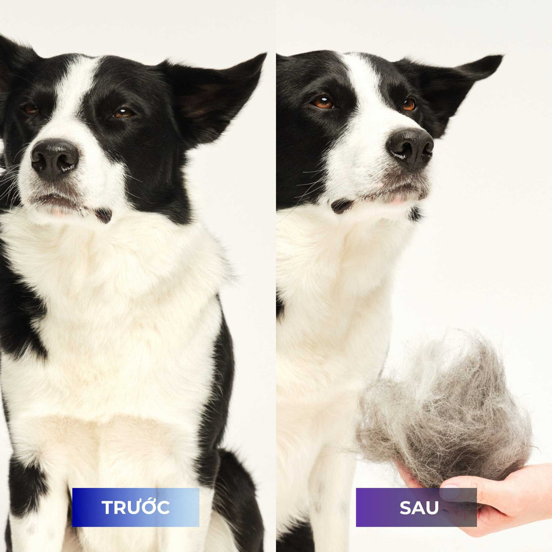 Lược gỡ rối Tangle Teezer cho chó De-shedding, giúp loại bỏ lông rụng và bụi bẩn