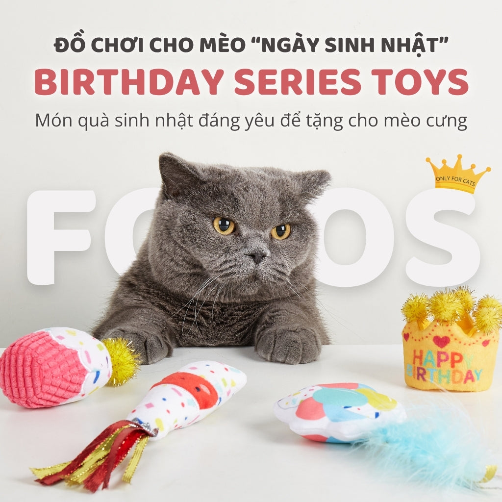 Đồ Chơi Fofos Mèo Chủ Đề Sinh Nhật & Mùa Hè