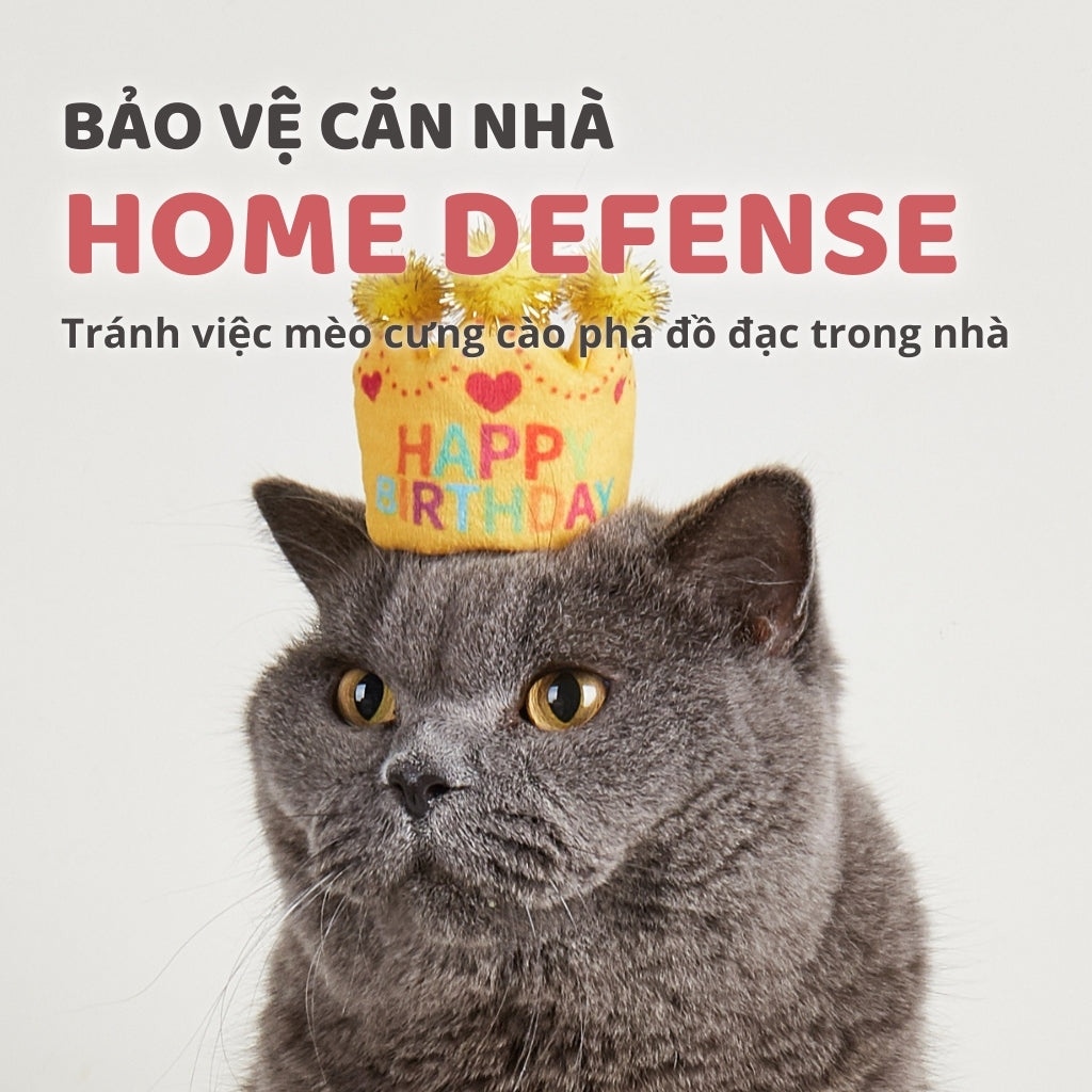Đồ Chơi Fofos Mèo Chủ Đề Sinh Nhật & Mùa Hè