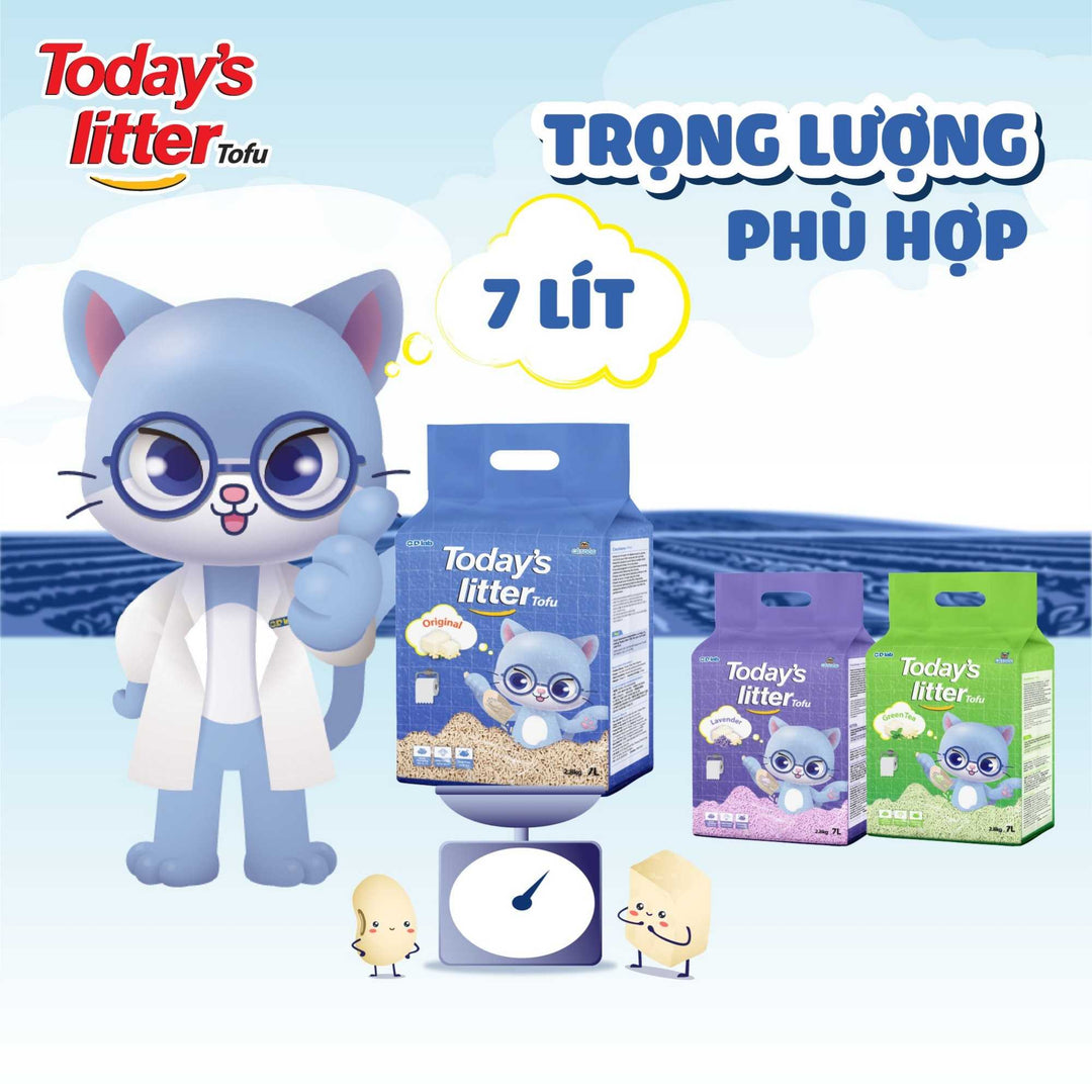 Cát Vệ Sinh Đậu Nành Today's Litter Tofu Cho Mèo, Vón Cục Nhanh, Hương Thơm Dễ Chịu, 7L