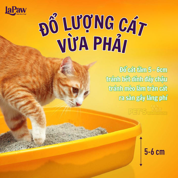 Cát Vệ Sinh Cho Mèo LaPaw Than Hoạt Tính, Siêu Vón Cục, Khử Mùi Tốt, Thơm Lâu, Ít Bụi, Bao 8L/20L
