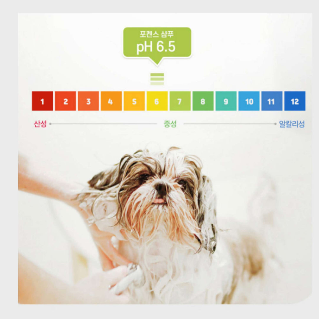 Dầu Gội Forcans Cho Chó Lông Xoăn Trắng, Chó Shih Tzu Da Nhạy Cảm, Chai 550ml