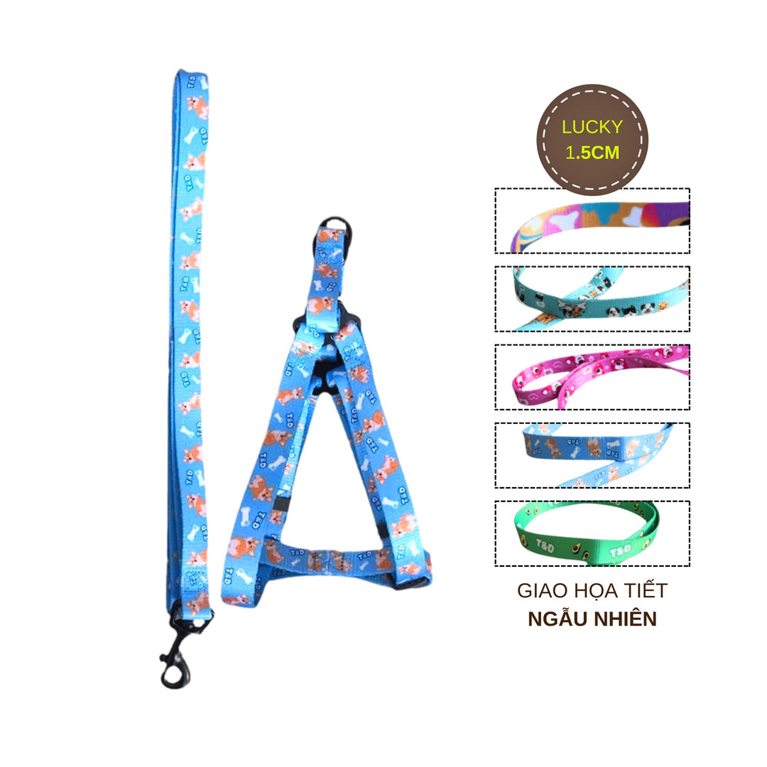 Dây Dắt Yếm Cho Chó Mèo T&D Diamonds Lucky/Collar, Thời Trang, Nhiều Size