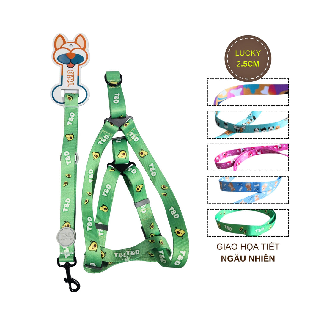 Dây Dắt Yếm Cho Chó Mèo T&D Diamonds Lucky/Collar, Thời Trang, Nhiều Size
