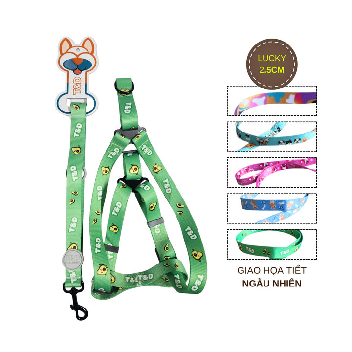 Dây Dắt Yếm Cho Chó Mèo T&D Diamonds Lucky/Collar, Thời Trang, Nhiều Size