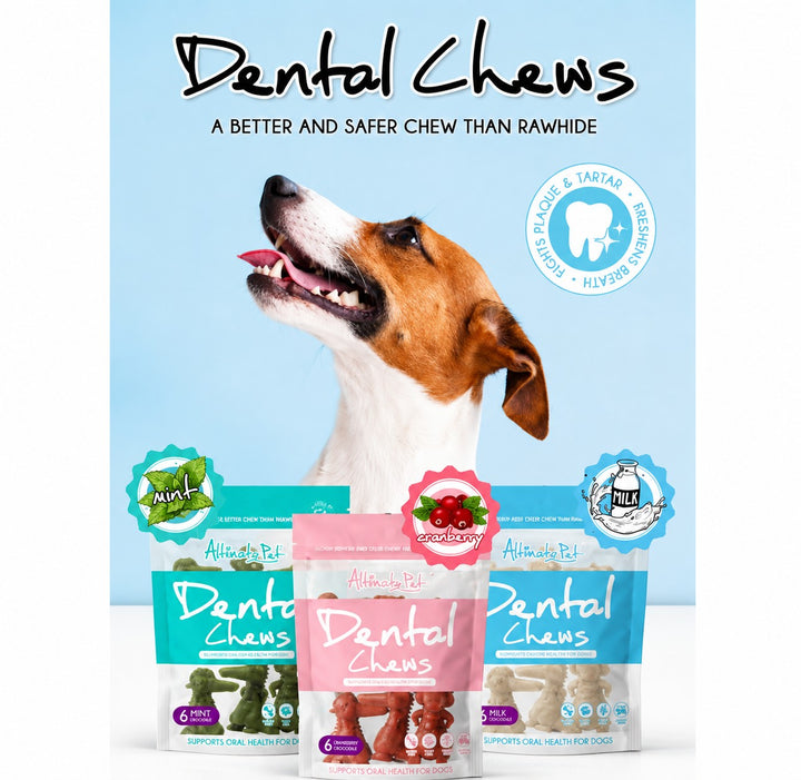 Xương Gặm Sạch Dental Chew Răng Cá Sấu 150G