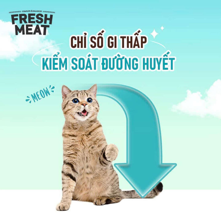 Hạt ANF Fresh Meat Gấp Đôi Thịt Tươi Cho Mèo Mọi Lứa Tuổi, Túi 1.6Kg