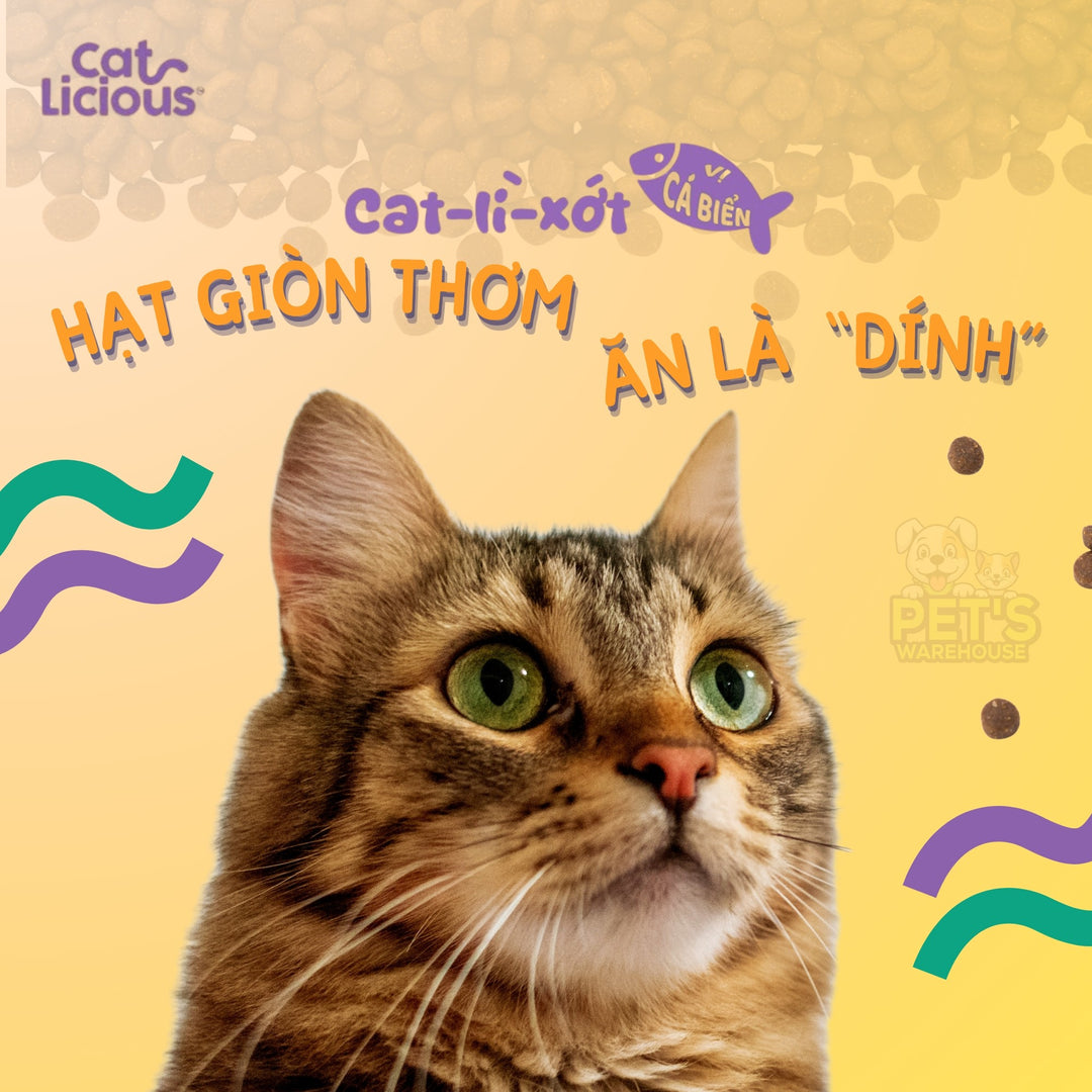 Hạt Cat Licious Cho Mèo Trưởng Thành, Vị Cá Biển, 1Kg
