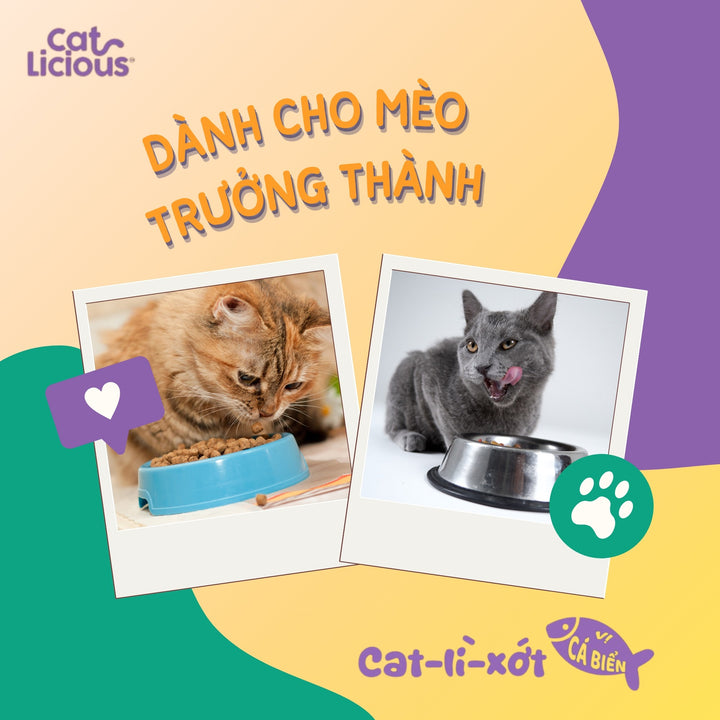 Hạt Cat Licious Cho Mèo Trưởng Thành, Vị Cá Biển, 1Kg