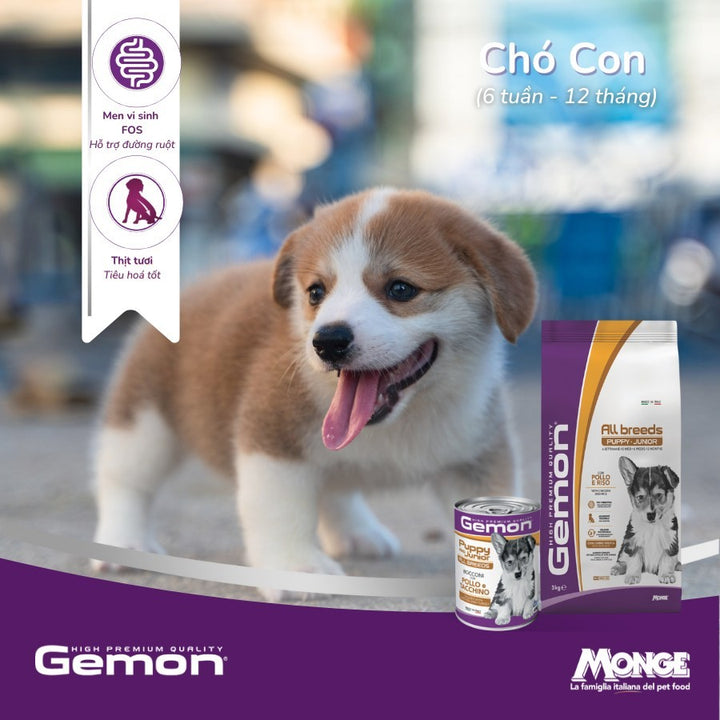 Hạt Gemon Cho Chó 3KG