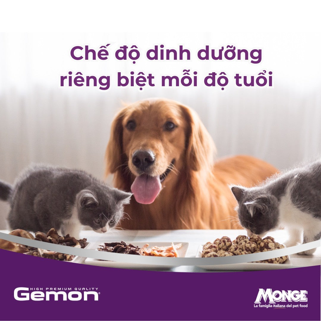Hạt Gemon Cho Chó 3KG