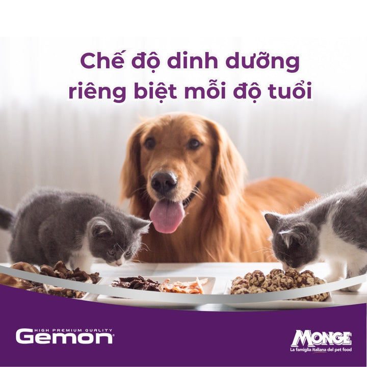 Hạt Gemon Cho Chó 3KG