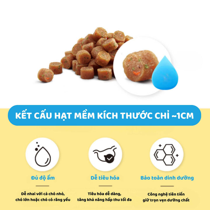 Hạt Mềm Cao Cấp Nutri Plan Softmune Cho Chó, Hỗ Trợ Lông Da & Xương Khớp, 1.2Kg