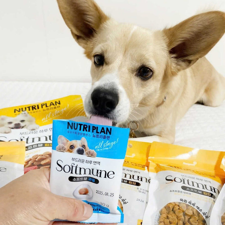 Hạt Mềm Cao Cấp Nutri Plan Softmune Cho Chó, Hỗ Trợ Lông Da & Xương Khớp, 1.2Kg