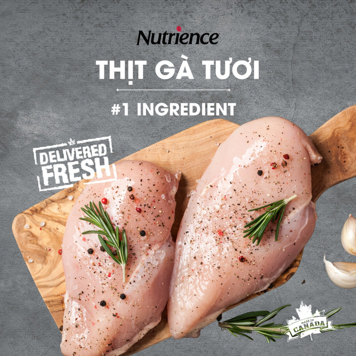 [10Kg] Hạt Nutrience Infusion Cho Chó Trưởng Thành Cỡ Vừa & Lớn, Thịt Gà & Rau Củ Quả Tự Nhiên
