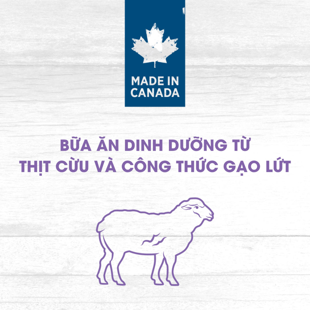 Hạt Nutrience Original Cho Chó Trưởng Thành Giống Vừa & Lớn - Thịt Cừu, Gạo Lứt & Rau Củ Trái Cây, 500g