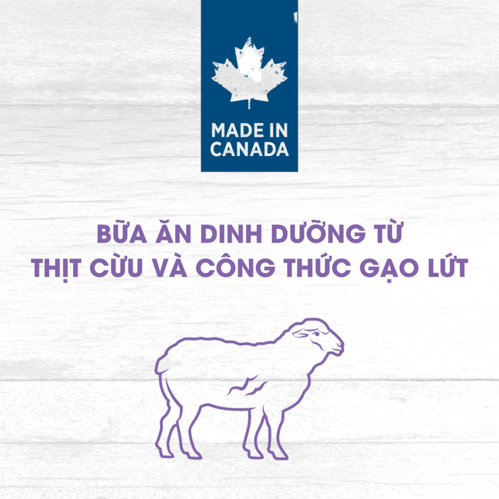 [5Kg] Hạt Nutrience Original Cho Chó Trưởng Thành Vừa & Lớn, Thịt Cừu & Gạo Lứt