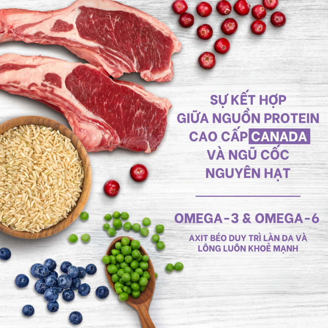 Hạt Nutrience Original Cho Chó Trưởng Thành Giống Vừa & Lớn - Thịt Cừu, Gạo Lứt & Rau Củ Trái Cây, 500g