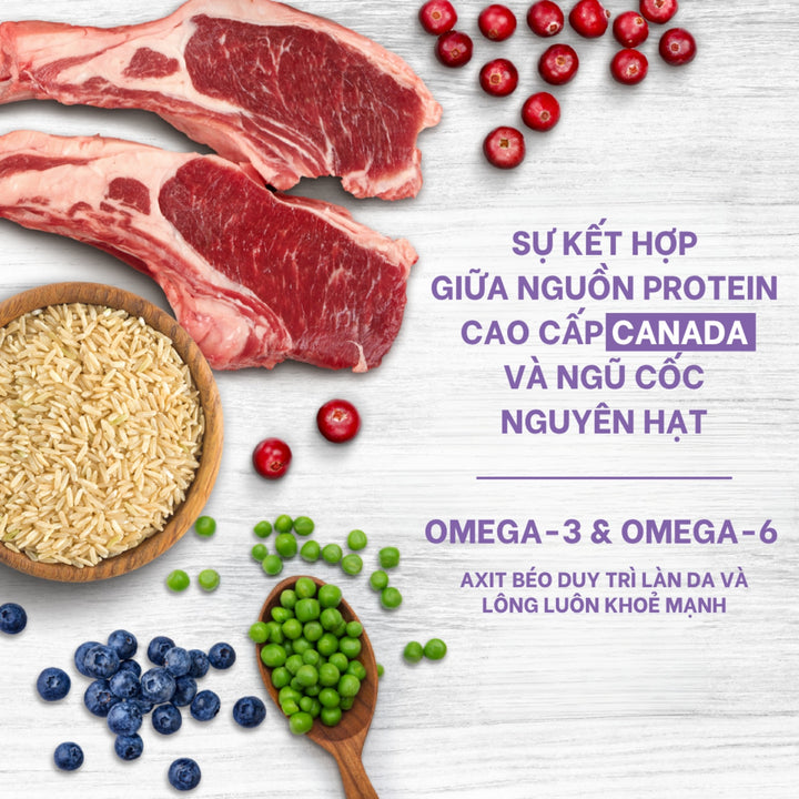 Hạt Nutrience Original Cho Chó Trưởng Thành Giống Vừa & Lớn - Thịt Cừu, Gạo Lứt & Rau Củ Trái Cây, 500g