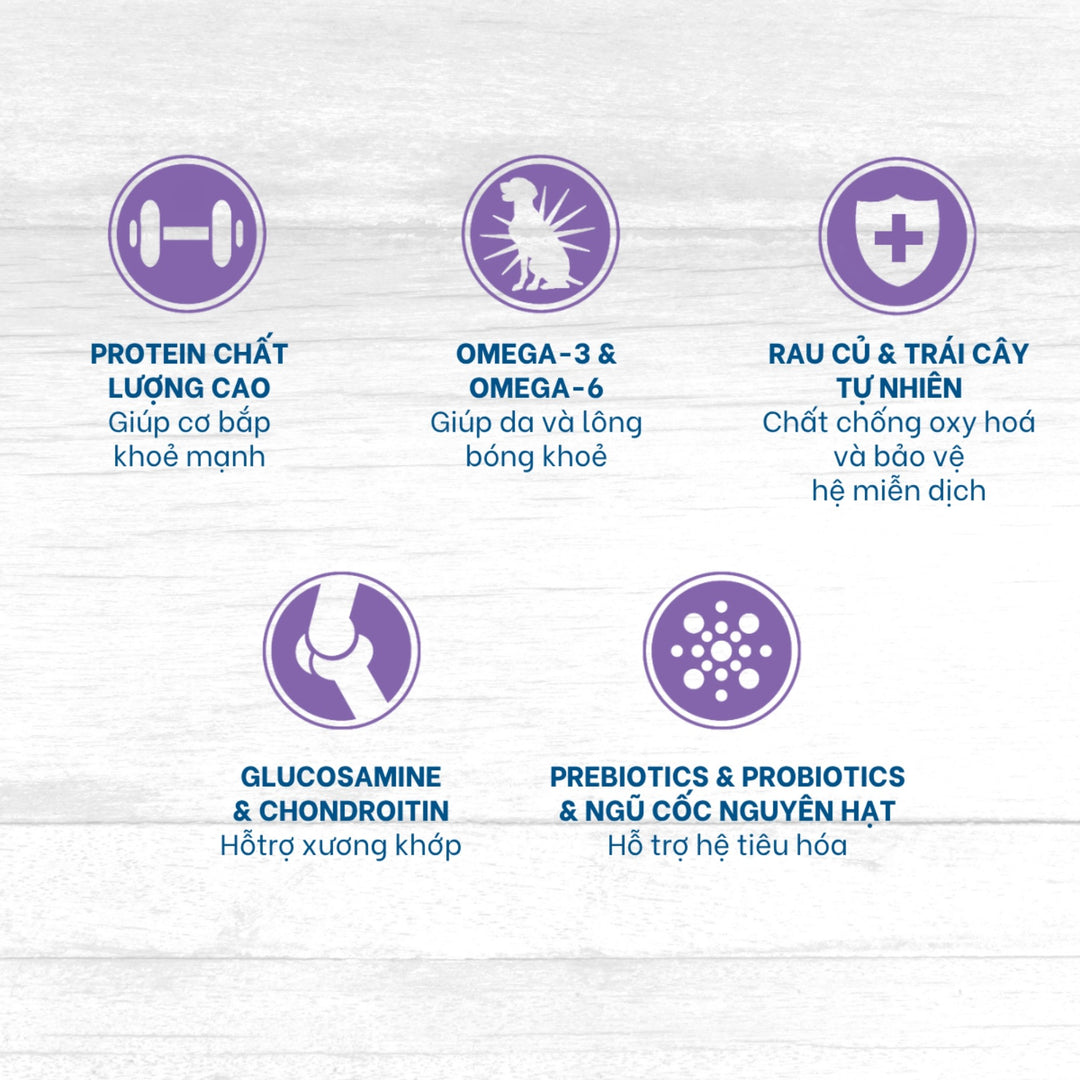 [5Kg] Hạt Nutrience Original Cho Chó Trưởng Thành Vừa & Lớn, Thịt Cừu & Gạo Lứt