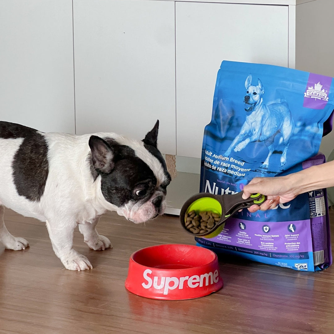 [5Kg] Hạt Nutrience Original Cho Chó Trưởng Thành Vừa & Lớn, Thịt Cừu & Gạo Lứt