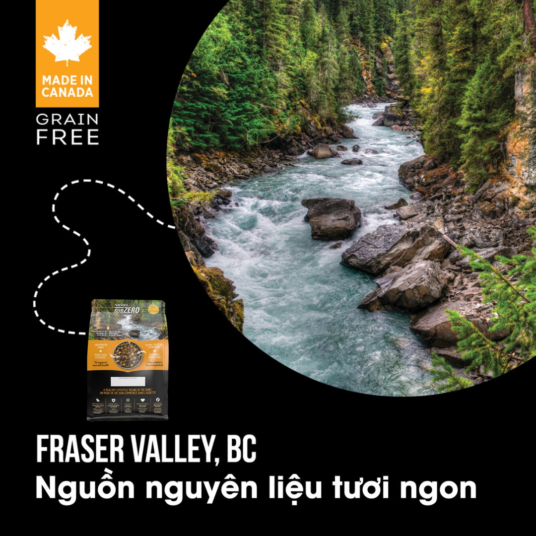 [500g - 1.8Kg] Hạt Nutrience Subzero Grain-free Cho Chó Mọi Lứa Tuổi