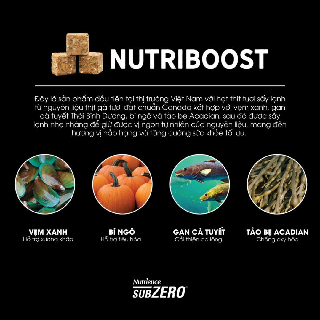 [4.5Kg] Hạt Nutrience Subzero Grain-free Cho Mèo Mọi Lứa Tuổi