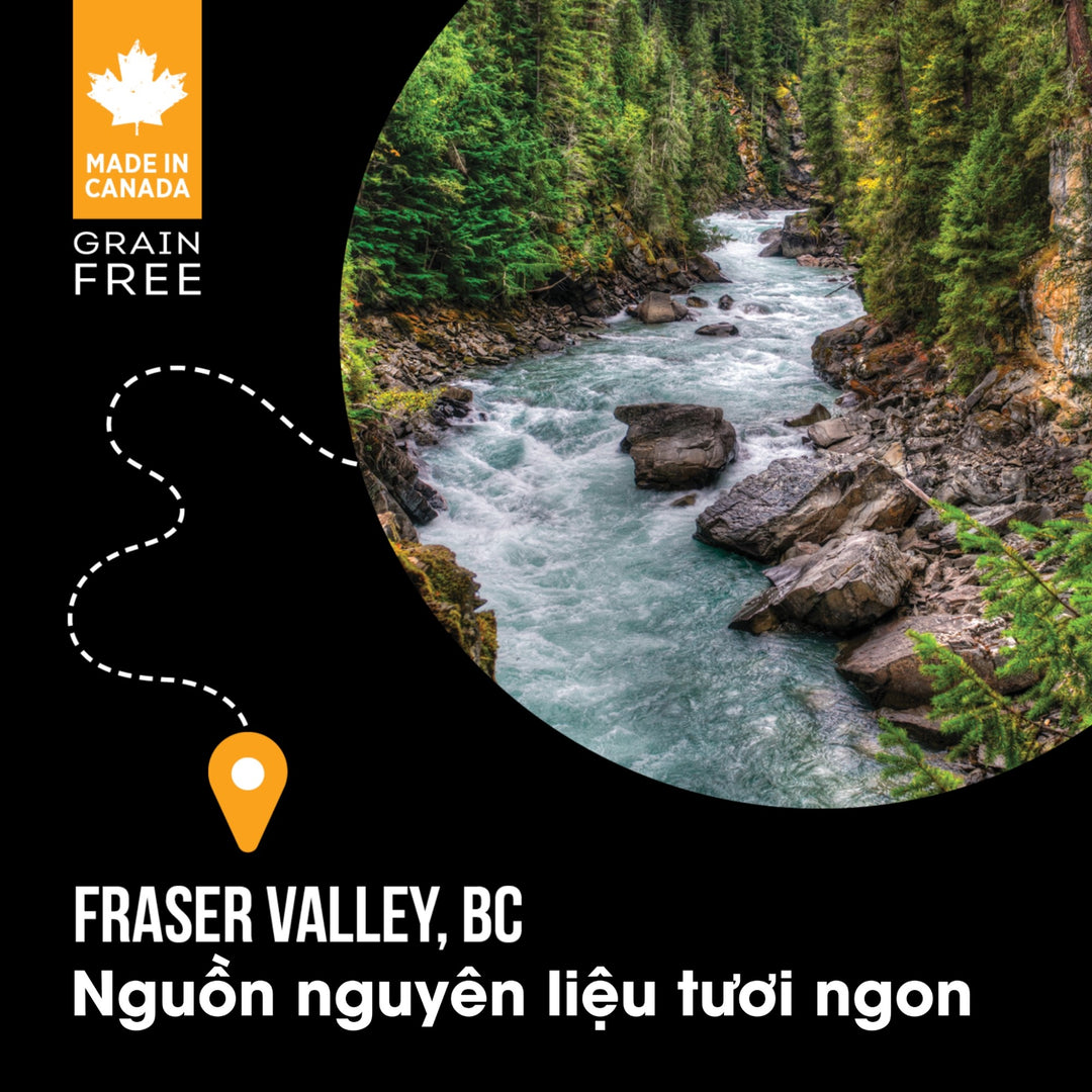 [500g - 1.8Kg] Hạt Nutrience Subzero Cho Mèo Mọi Lứa Tuổi