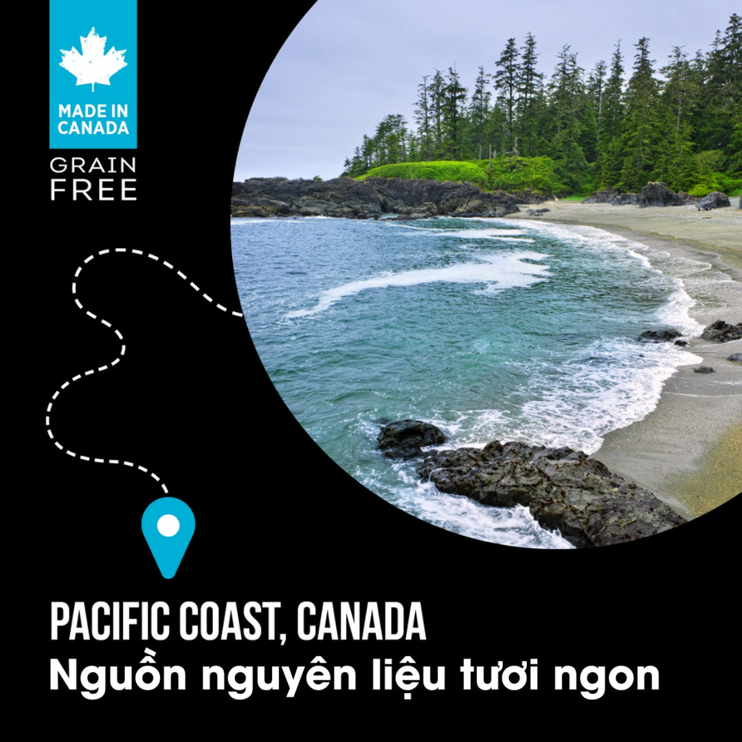 [500g - 1.8Kg] Hạt Nutrience Subzero Cho Mèo Mọi Lứa Tuổi