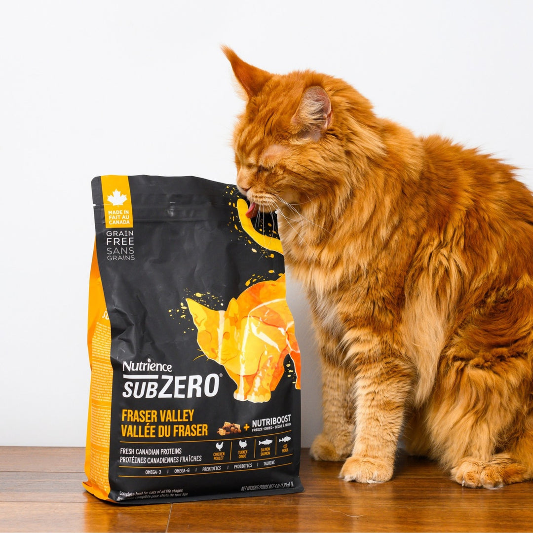 [4.5Kg] Hạt Nutrience Subzero Grain-free Cho Mèo Mọi Lứa Tuổi