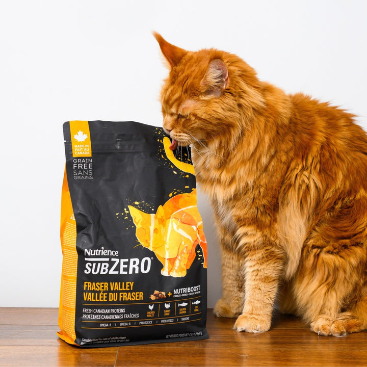[4.5Kg] Hạt Nutrience Subzero Grain-free Cho Mèo Mọi Lứa Tuổi