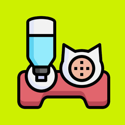 Bát Ăn, Bình Sữa Mèo