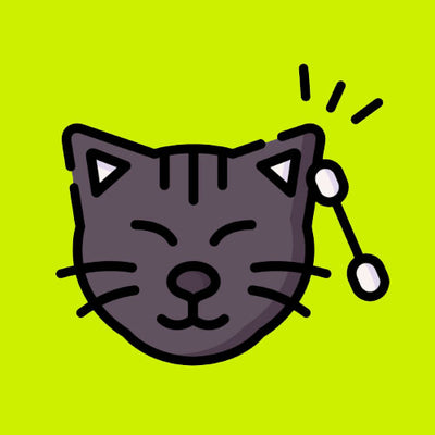 Chăm Sóc Tai, Mắt, Miệng Mèo