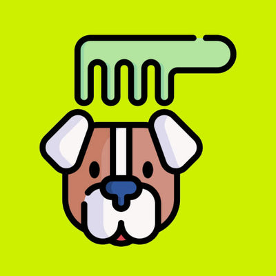 Lược Chải Lông Chó