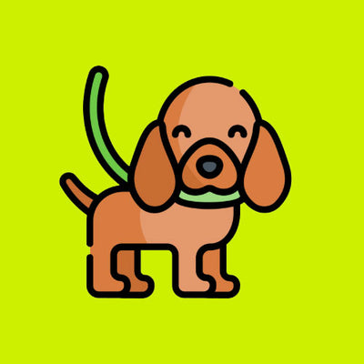 Phụ Kiện Cho Chó