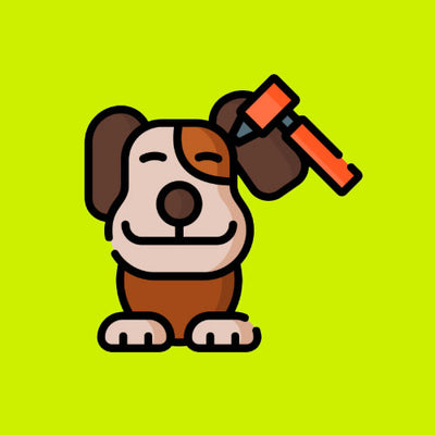 Chăm Sóc Mắt - Tai - Miệng Chó